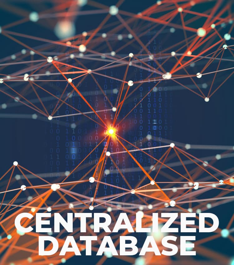 Centralized Database Video Image Poster